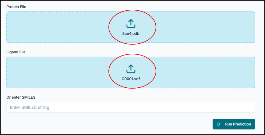 Upload protein and ligand files
